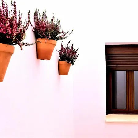 Turisticos Mamelon * ヘレス