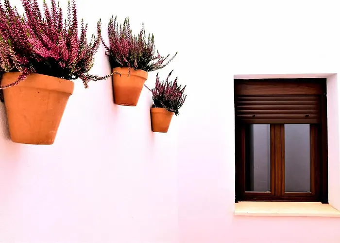 Turisticos Mamelon * Χέρεζ