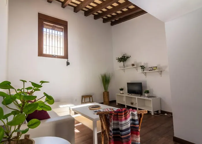 Turisticos Mamelon *